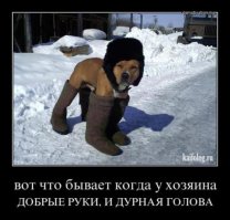 Самые странные находки из-под снега