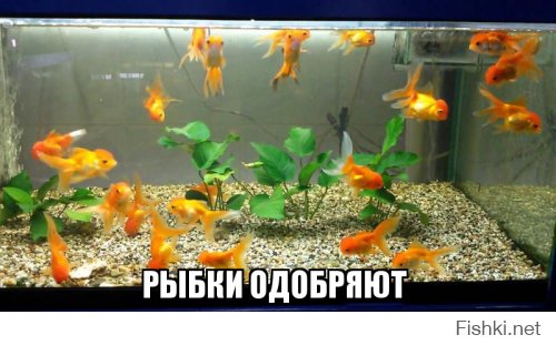 Подбрка необычных домов со смелым и креативным дизайном