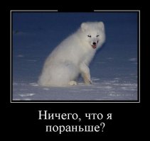 Животные удивляются