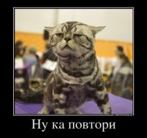 Животные удивляются