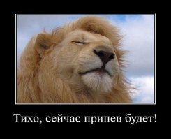 Животные удивляются