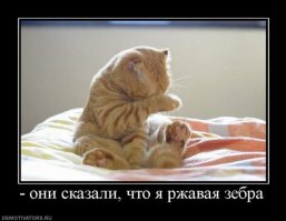 Животные удивляются