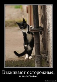 Животные удивляются