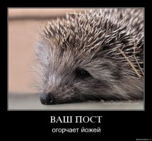 Животные удивляются