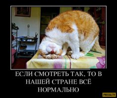 Злой ты ...как собак как можно лишить людей прошлого веры в светлое будущее?
