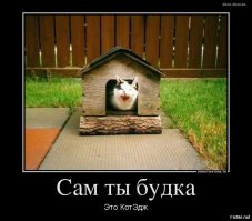 Животные удивляются