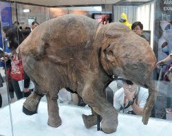 Самые странные находки из-под снега