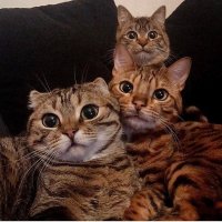 Вот истинное удивление!