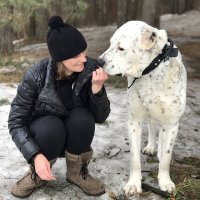 Эти фотографии доказывают, что чем больше собака - тем лучше