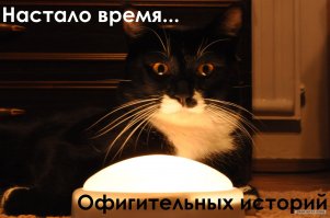 Забавная переписка на одном из пабликов Контакта