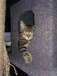 наш ответ