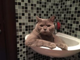 наш ответ