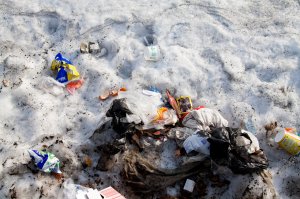 Вы, вот про это? Да... собаки - они такие: везде мусор раскидывают.. Не то, что мы люди - прям чистоплотнейшие создания.