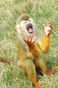 Премию " Родитель года" получает...