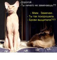 Жертвы фотошопа: 15 знаменитостей без бровей