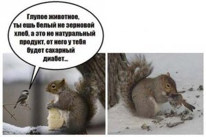 Прикольное фото