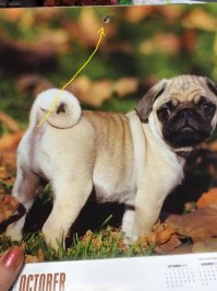 15 примеров провального Фотошопа, на которые вам захочется взглянуть еще раз