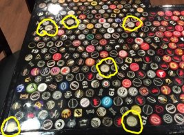 5 лет коту под хвост!