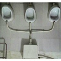 Это ж Змей Горыныч. Только маленький и в туалете живёт.