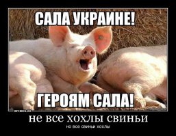 Так я и не рвусь в европу,там скоро арабы и чурки халифат устроят...западная хохляндия им очень пригодится,рабы нужны всегда,хотя,когда пиндосы с вами наиграются,вы н.а.х.у.й европе не нужны будете...