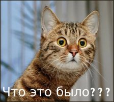 Премию " Родитель года" получает...