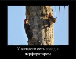 Прикольное фото