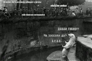 Картинки с надписями