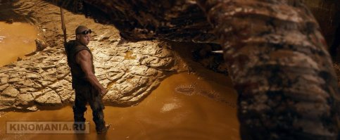  Как поймать сетчатого питона голыми руками