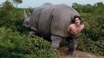 а после слона ждём