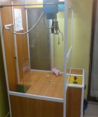 Поймай меня,если сможешь!