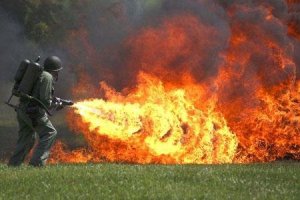 Невидимые постояльцы наших квартир