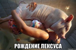 Алхимик Александр Петросян