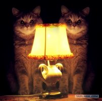 Сегодня прочитала что-то похожее в "Подслушано", но там, то ли и юбка, то ли трусы фигурировали...