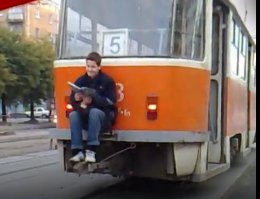 Ленивый тюлень зайцем покатался на носовой части корабля