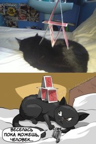 Доминируй, властвуй, унижай