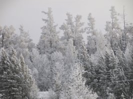 Спасибо за пост