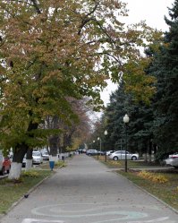 возил тетку туда по делам... как только заехал в этот городок так сразу же захотелось и уехать... единственный населённый пункт края в который я никогда добровольно не перееду...
