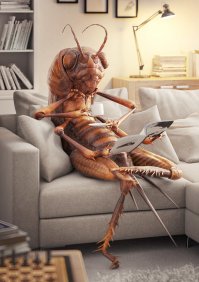 Интересные иллюстрации