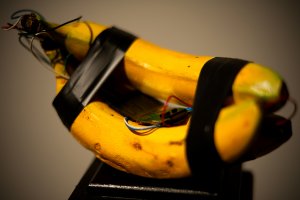 Интересные факты о бананах