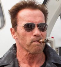 Я очень уважаю Шварц-а, так что не воспринимайте мною сказанное и показанное, как унижение... Но эта горилла мне именно на такие ассациации натолкнула