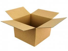 Любую квартиру в рай для любимой кошки превратить раз плюнуть.