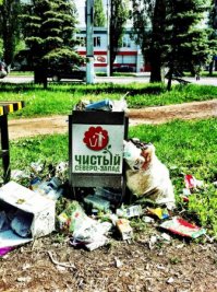 Все наверно зависит от концентрации быдла в конкретной местности. если быдло-дом, то украшать клумбами и прочим смысла нет. Вот у нас умелец сделал прекрасную клумбу, все чисто-аккуратно, наверно потому что вокруг нет никаких лавочек и улица получается проходная, то есть люди проходят мимо, любуются а посидеть негде;). И да, лавочки реальное зло! Была обычная довольно чистая улица, пока года три назад один депутат вдоль всей улицы не поставил лавочки с урнами. Теперь вокруг лавочек несметные кучи мусора, все вытоптано, лавочки полуразвалены... (фото  2)прям каламбур какой-то.