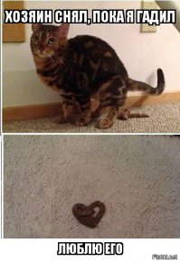 здорово на кухне придумано) полки прям над плитой..еда всегда со вкусом и волоснёй любимого кота)