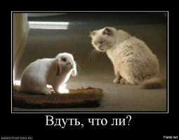 Доминируй, властвуй, унижай