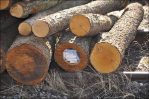 Смекалка  контрабандистов