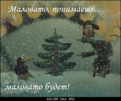 Эти снимки перевернут ваши представления о мире!