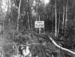 чем дальше в лес - тем больше ГЭС

На фото  Створ Толстый Мыс. Здесь будет построена Усть-Илимская ГЭСэ
Высота плотины 105 м. Если вы поставите три девятиэтажки друг на друга, то останется еще место для пятиэтажки 
Длина плотины 1475 м 
Установленная мощность ГЭС   3840 МВт, среднегодовая выработка   21,7 млрд кВт ч.