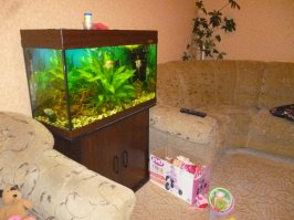 А вот моя баночка с растениями)))Не судите строго...