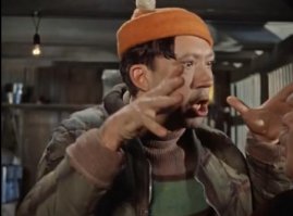 Осиротевшая собака три дня просидела у тела хозяина в Красноярске