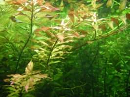 вот немного за последние 10 лет вариантом